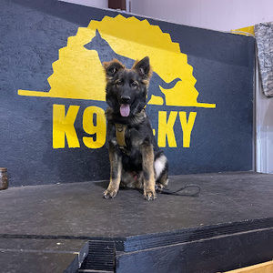 Meet your Posher, Cheyanne